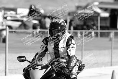 media/Feb-23-2025-2WTD (Sun) [[9604a77d5d]]/1-Around the Pits/